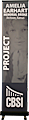 CBSI Banner
